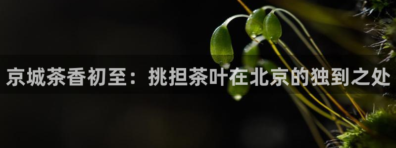 鸿运彩票平台违法吗