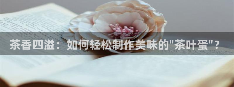 鸿运团队赚钱平台