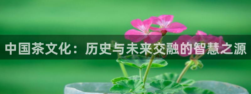 鸿运彩票黑平台