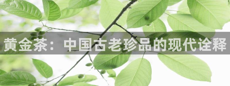鸿运赌城平台