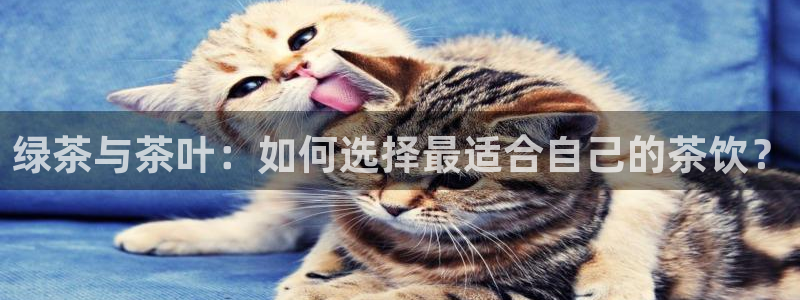 新鸿运股票平台