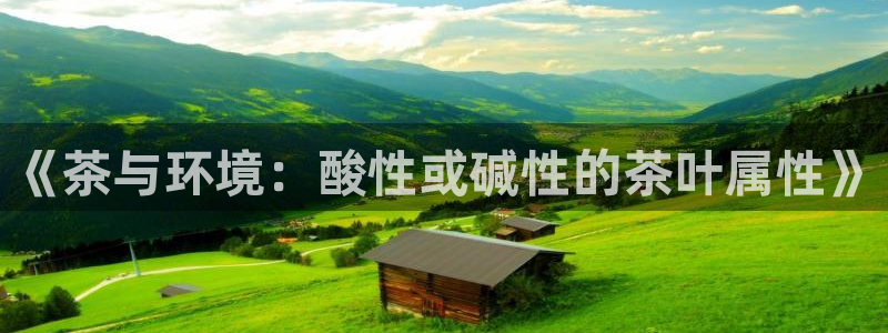 鸿运大发总代理平台