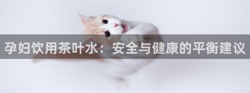 鸿运当头社交平台