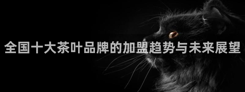 鸿运网投平台