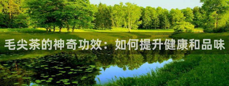 鸿运布艺团购平台