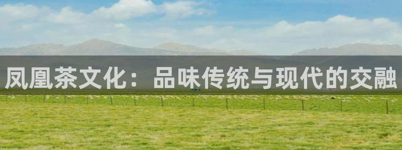 鸿运服务平台是什么平台
