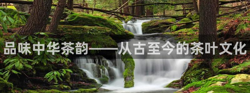 鸿运茶商平台