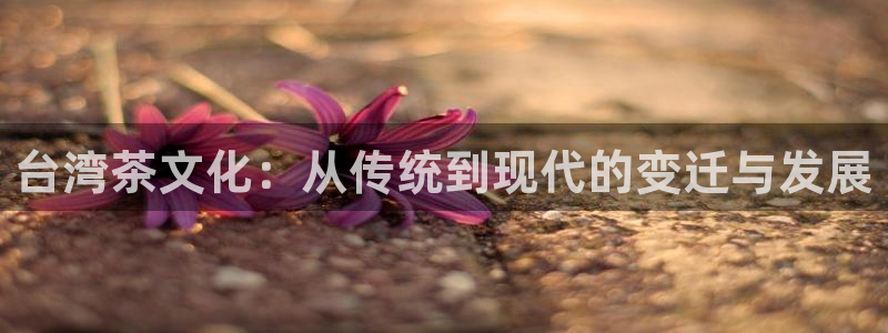 鸿运集团平台招聘信息
