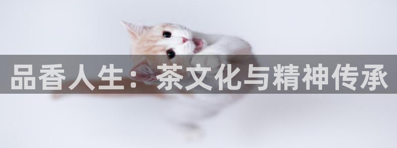 鸿运商城珠宝平台