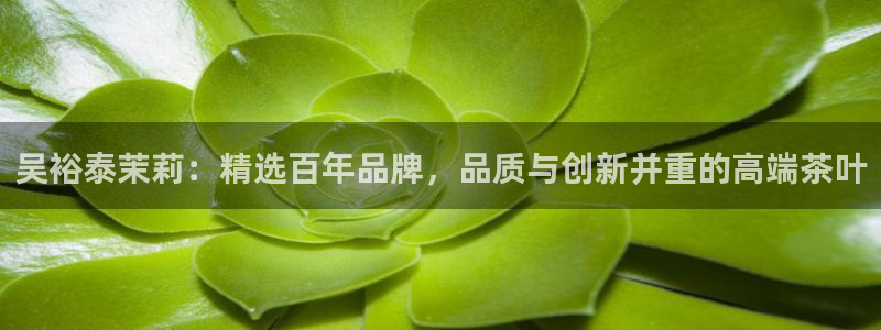 鸿运外汇平台