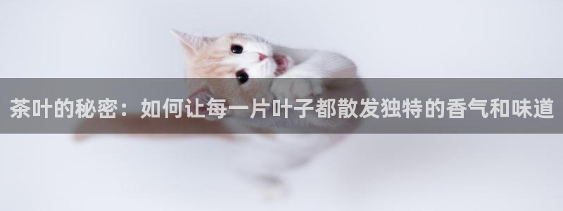 鸿运牛蹄团购平台