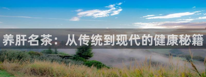 鸿运合拍是什么平台