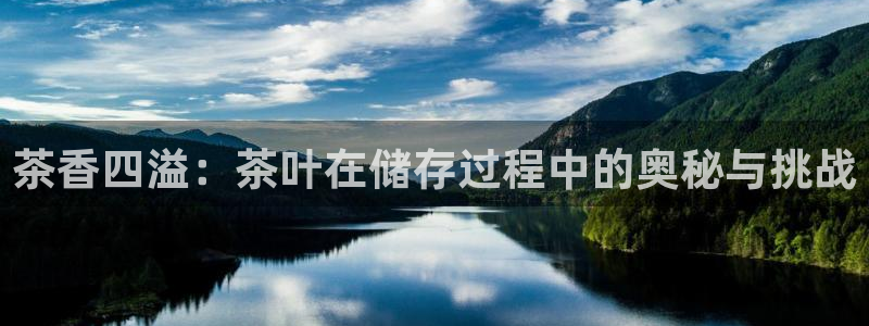 鸿运国际黑平台