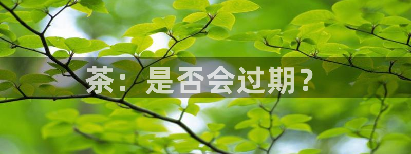 鸿运公司滴滴平台