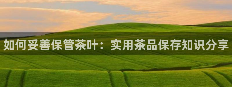 鸿运连连平台