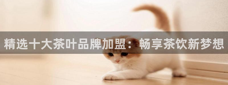 鸿运军团平台被骗
