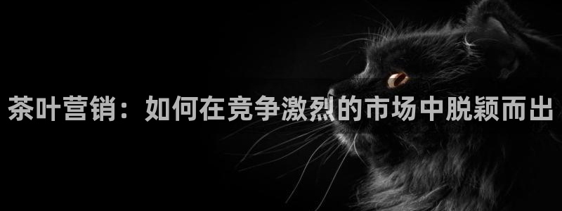 鸿运小说阅读平台