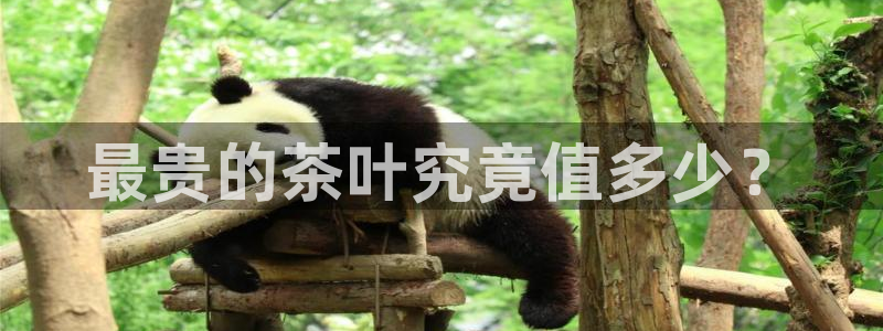 鸿运锦囊是什么平台