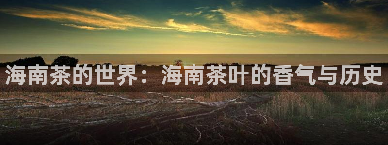 鸿运游戏直播游戏平台