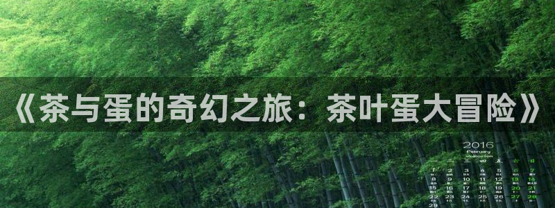 鸿运信投是平台