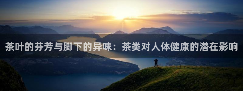 鸿运最大的直播平台