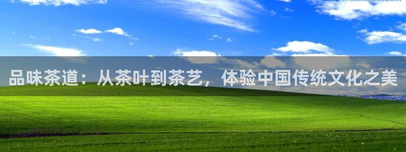 鸿运彩票平台官网