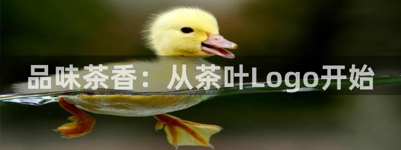 鸿运钱包平台正规吗