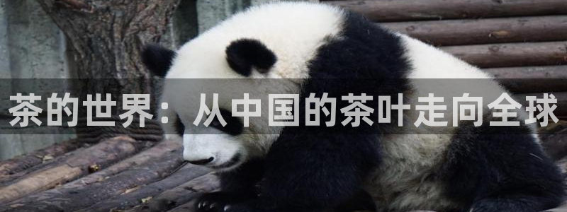 鸿运展业平台