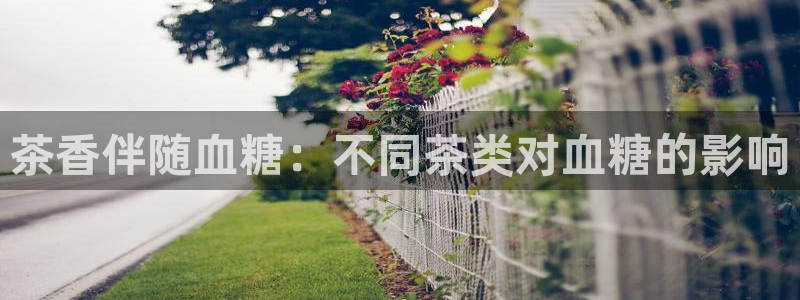 被鸿运平台骗