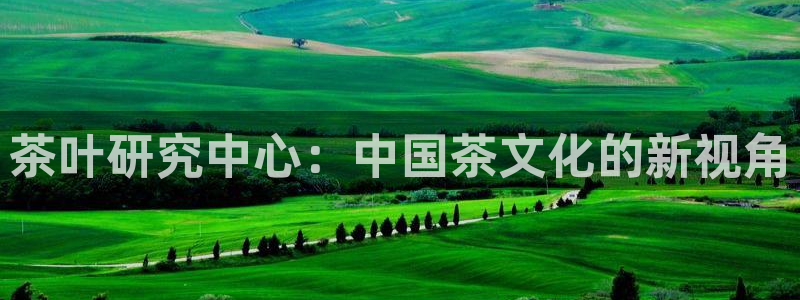 鸿运平台攻略