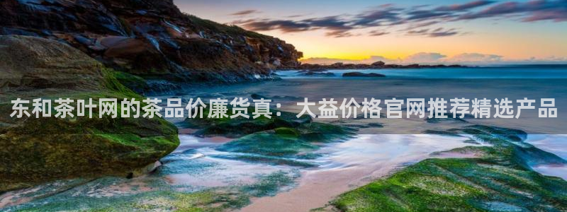 鸿运公司有哪些平台