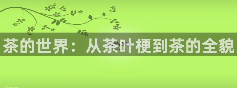 鸿运国际平台登录