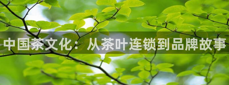 鸿运直播平台安卓版