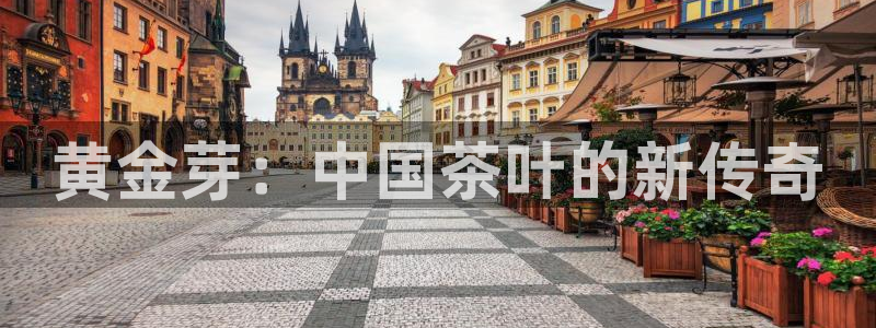 鸿运讲堂平台