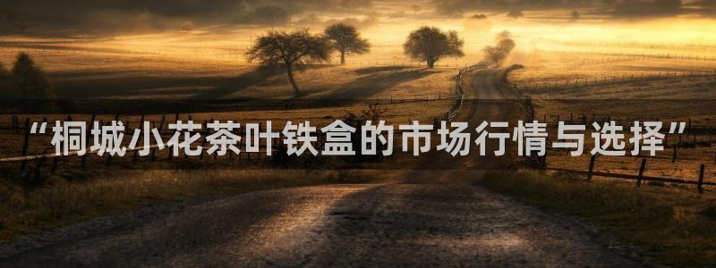 鸿运宝理财平台