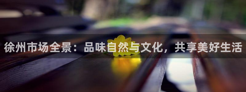 鸿运小说阅读平台