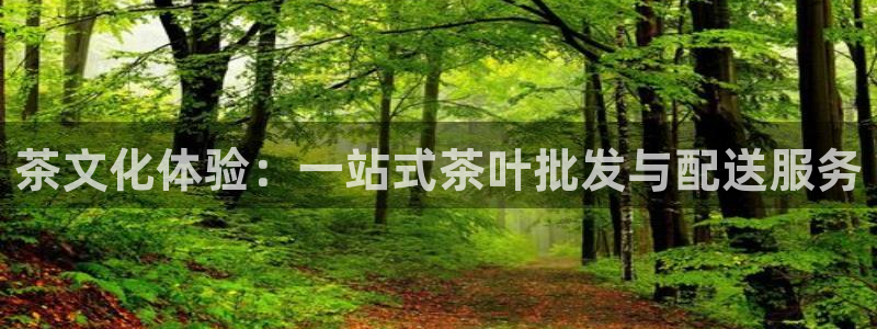 鸿运国际平台平