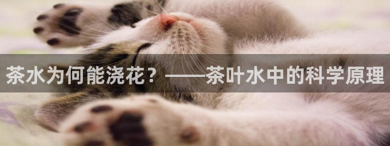 苏州鸿运阁直播平台