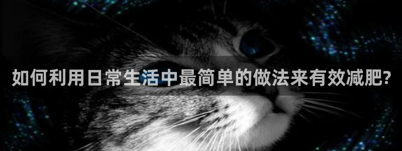 鸿运国际平台平