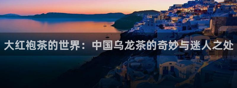 鸿运食品团购平台