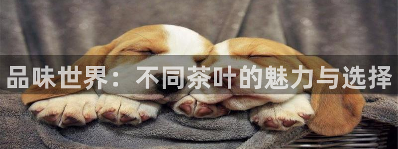 鸿运体育平台