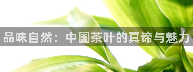 鸿运彩票平台黑