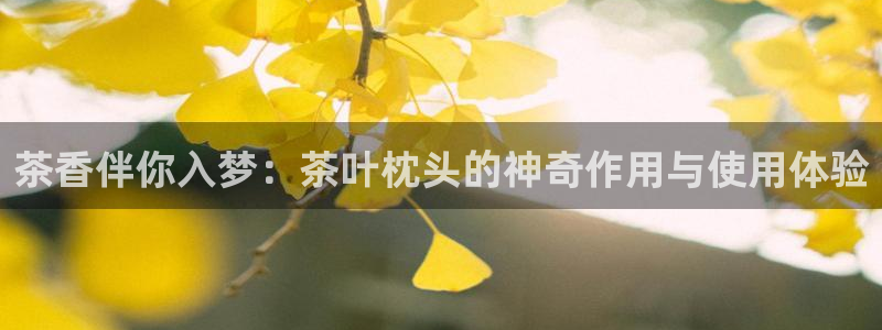 鸿运平台官方