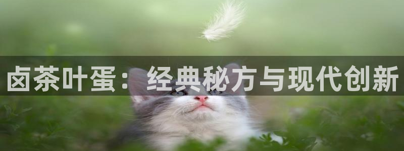 鸿运物业信誉平台