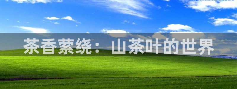 鸿运直播彩票平台
