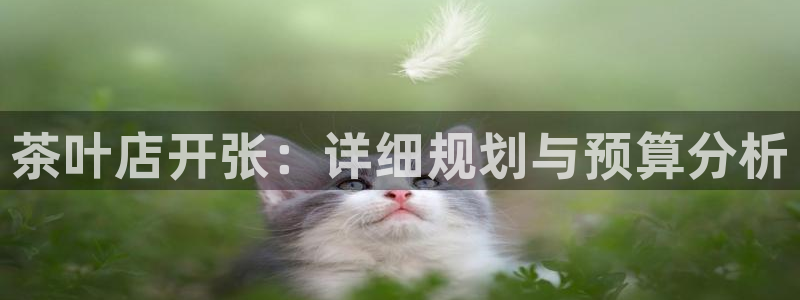 香港鸿运是什么平台