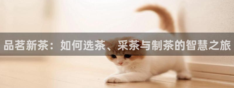 鸿运网络麻将平台