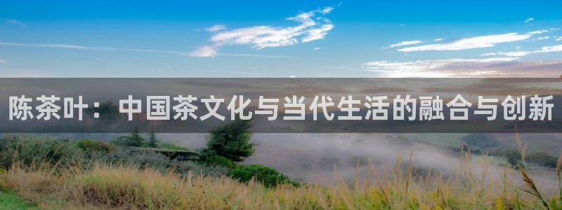 鸿运集团有几个平台
