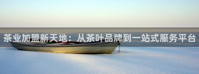 铜陵鸿运拍卖平台