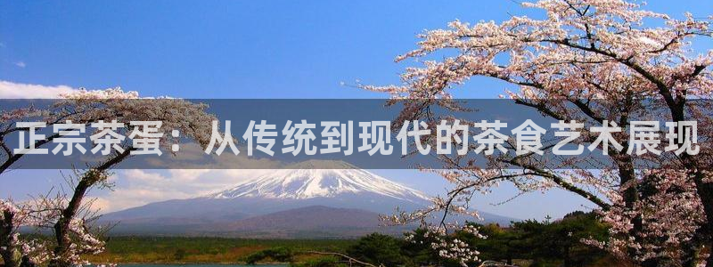 鸿运锦囊是什么平台